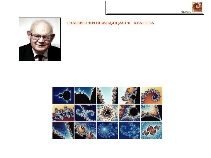САМОВОСПРОИЗВОДЯЩАЯСЯ КРАСОТА 