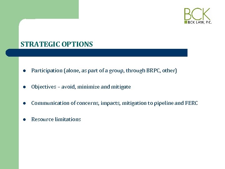 STRATEGIC OPTIONS l Participation (alone, as part of a group, through BRPC, other) l