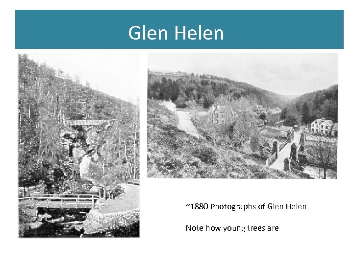 Glen Helen ~1880 Photographs of Glen Helen Note how young trees are 
