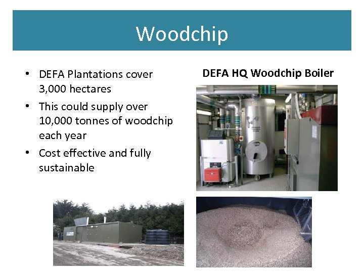 Woodchip • DEFA Plantations cover 3, 000 hectares • This could supply over 10,