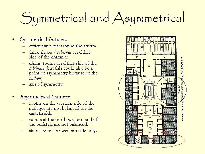 Symmetrical and Asymmetrical • Symmetrical features: – cubicula and alae around the atrium –