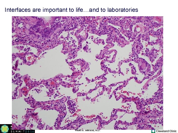 Interfaces are important to life…and to laboratories Walter H. Henricks, M. D. 