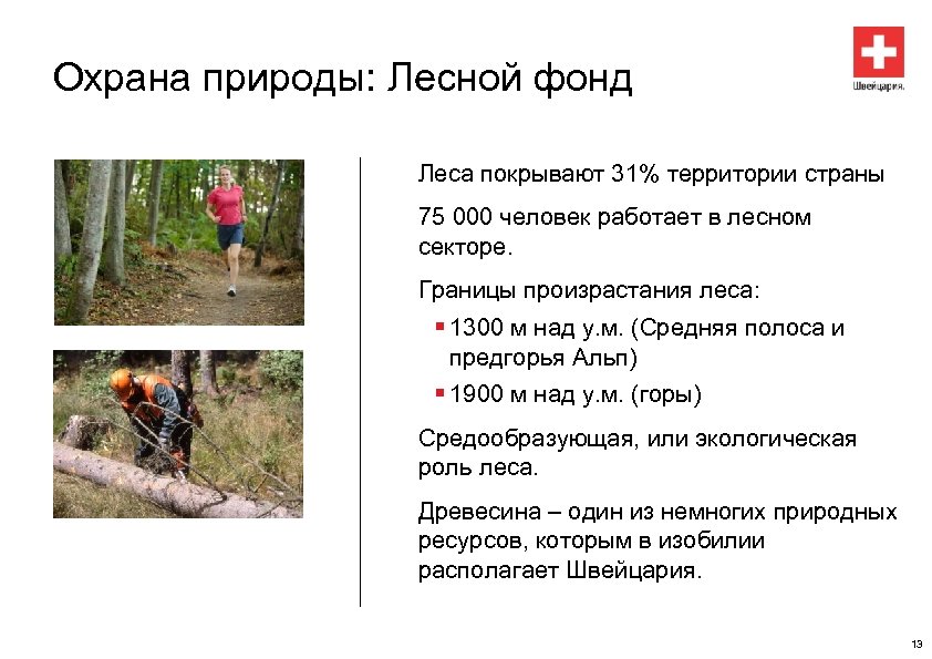 Охрана природы: Лесной фонд Леса покрывают 31% территории страны 75 000 человек работает в