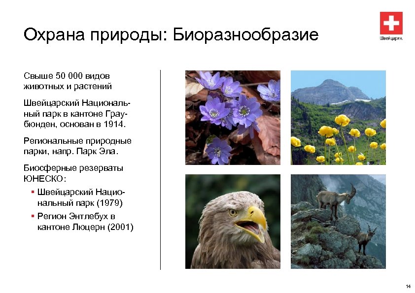 Охрана природы: Биоразнообразие Свыше 50 000 видов животных и растений Швейцарский Национальный парк в