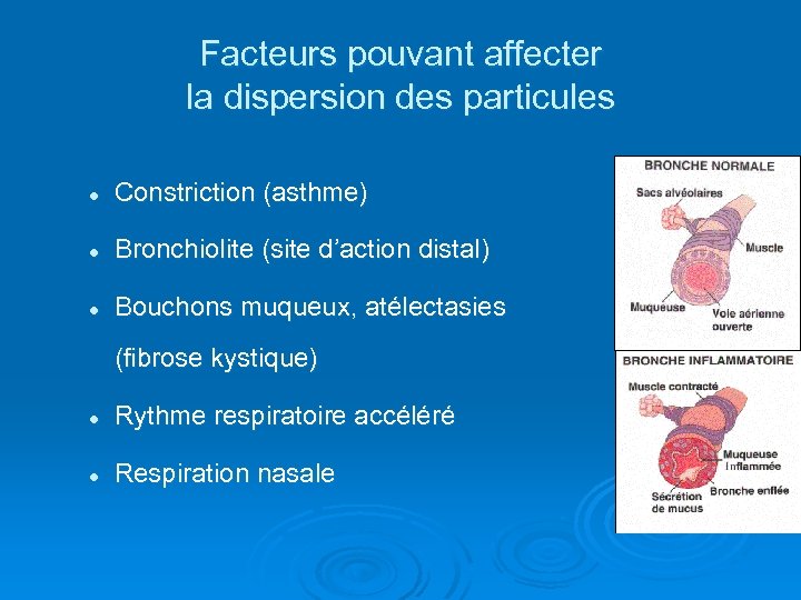 Facteurs pouvant affecter la dispersion des particules l Constriction (asthme) l Bronchiolite (site d’action