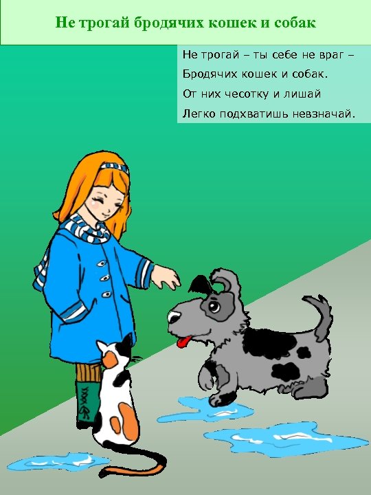 Не трогай бродячих кошек и собак Не трогай – ты себе не враг –