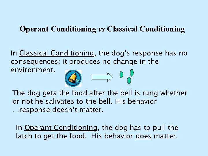 Operant Conditioning vs Classical Conditioning In Classical Conditioning, the dog’s response has no consequences;