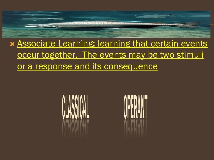  Associate Learning: learning that certain events occur together. The events may be two