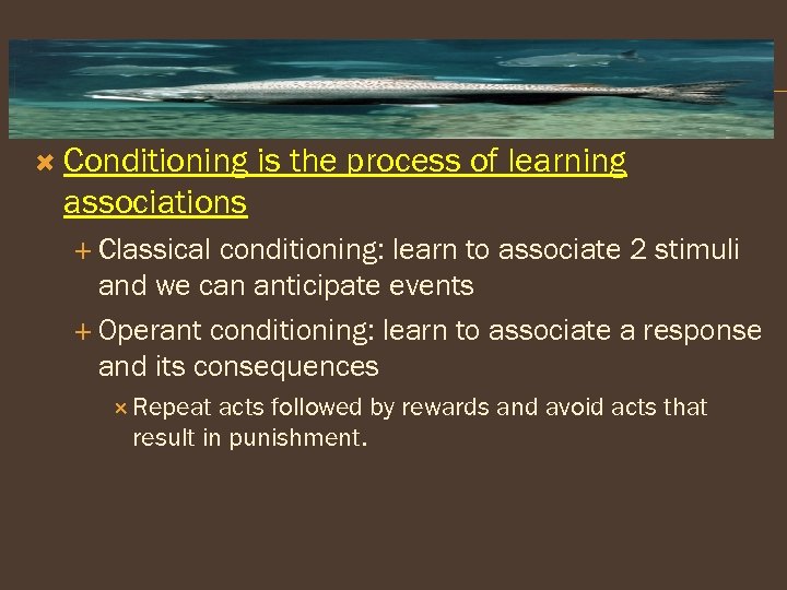  Conditioning is the process of learning associations Classical conditioning: learn to associate 2