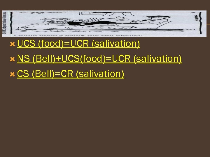  UCS (food)=UCR (salivation) NS (Bell)+UCS(food)=UCR (salivation) CS (Bell)=CR (salivation) 