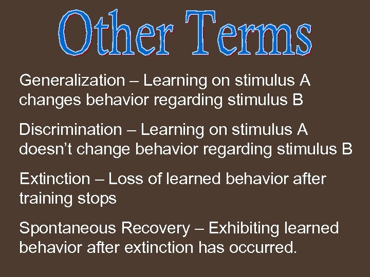 Generalization – Learning on stimulus A changes behavior regarding stimulus B Discrimination – Learning