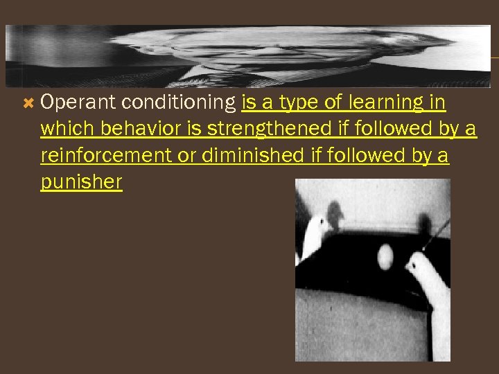  Operant conditioning is a type of learning in which behavior is strengthened if