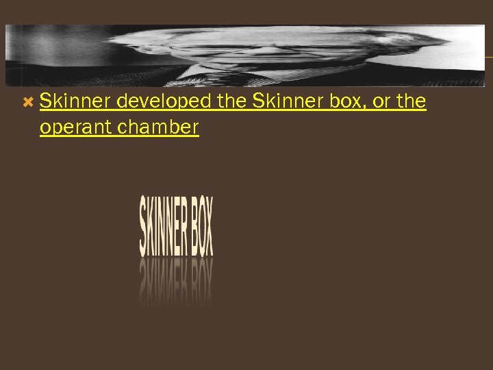  Skinner developed the Skinner box, or the operant chamber 