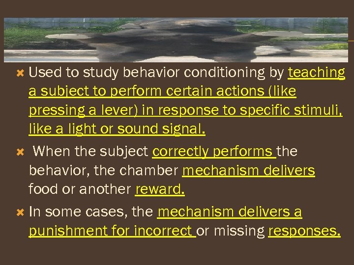  Used to study behavior conditioning by teaching a subject to perform certain actions