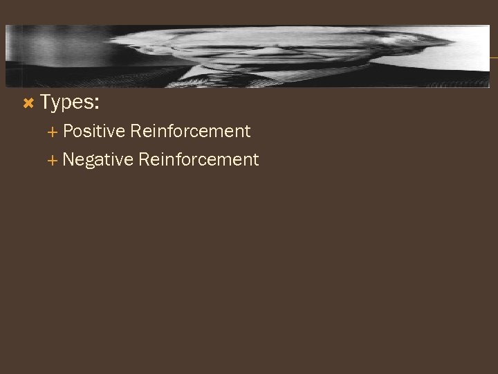  Types: Positive Reinforcement Negative Reinforcement 