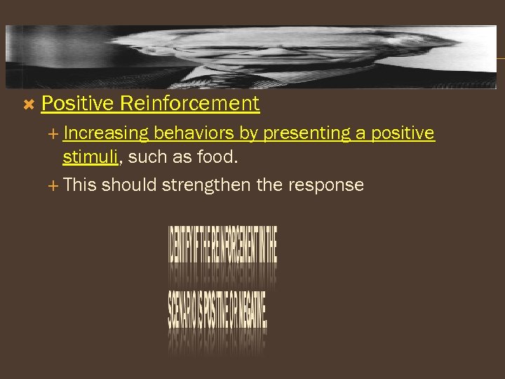  Positive Reinforcement Increasing behaviors by presenting a positive stimuli, such as food. This