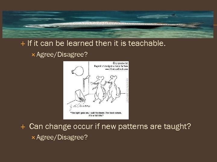  If it can be learned then it is teachable. Agree/Disagree? Can change occur