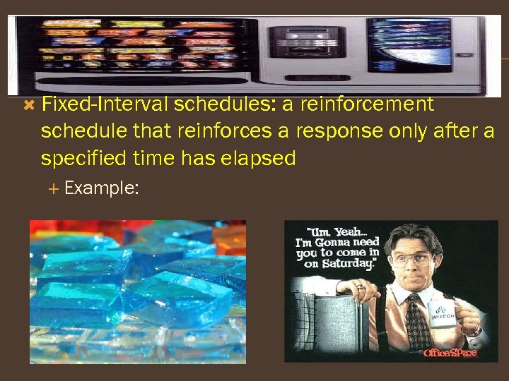  Fixed-Interval schedules: a reinforcement schedule that reinforces a response only after a specified