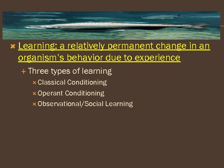  Learning: a relatively permanent change in an organism’s behavior due to experience Three