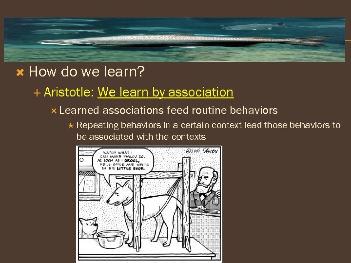  How do we learn? Aristotle: We learn by association Learned associations feed routine