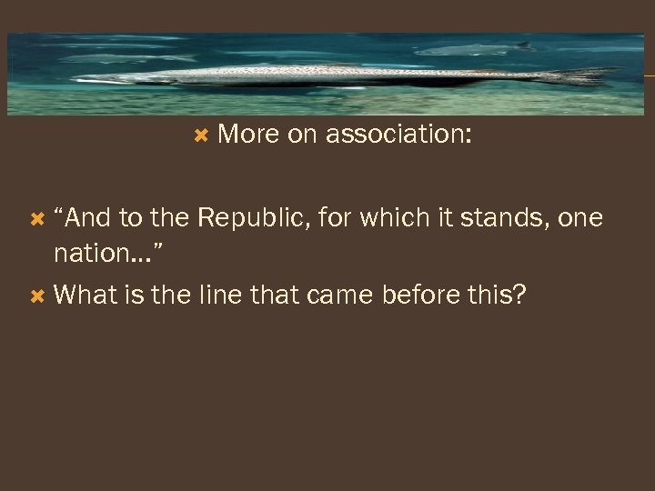  More “And on association: to the Republic, for which it stands, one nation…”