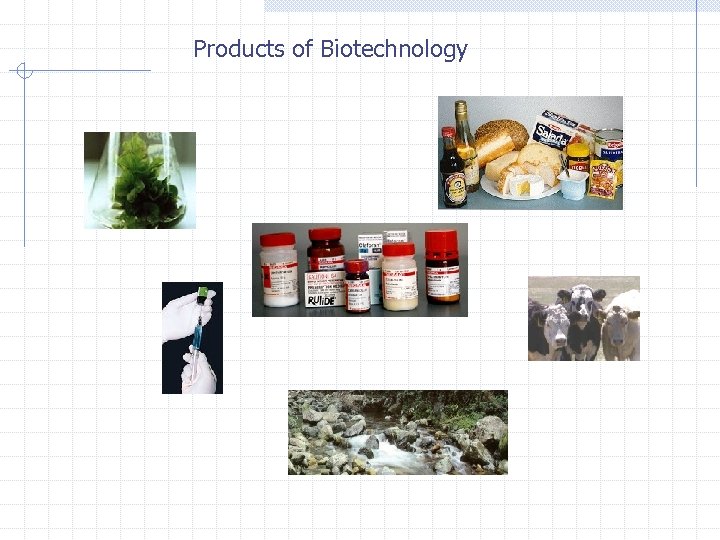 Products of Biotechnology 