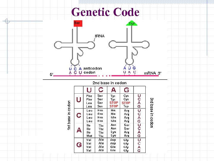 Genetic Code 