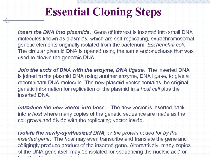 Essential Cloning Steps Insert the DNA into plasmids. Gene of interest is inserted into