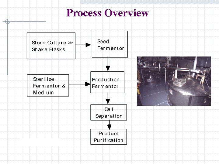Process Overview 