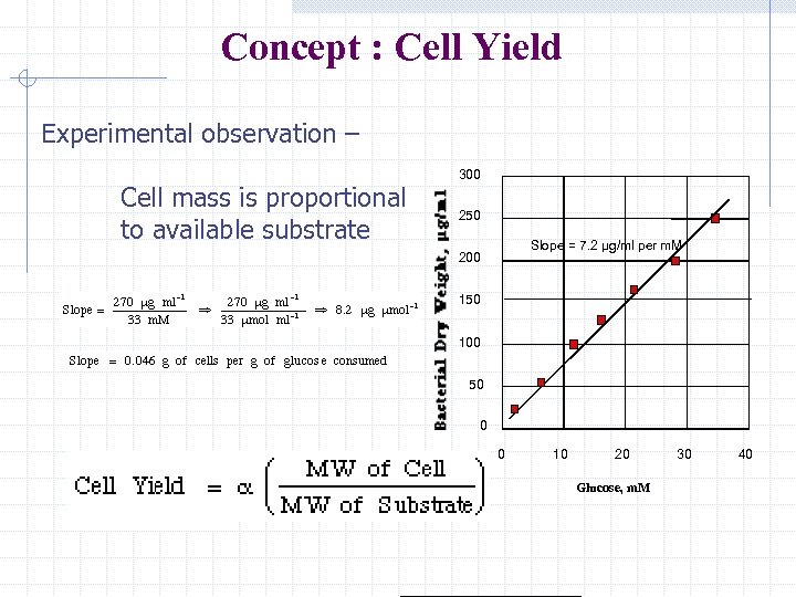 Concept : Cell Yield Experimental observation – Cell mass is proportional to available substrate