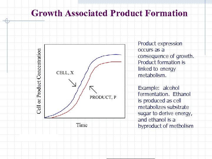 Growth Associated Product Formation Product expression occurs as a consequence of growth. Product formation