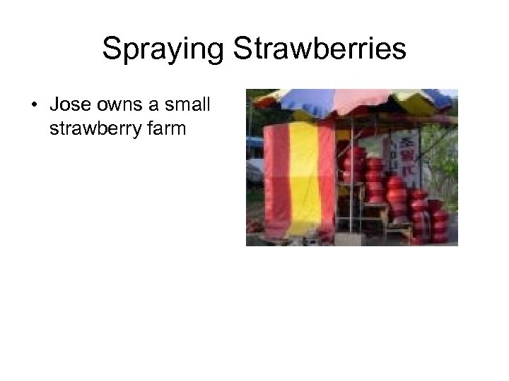 Spraying Strawberries • Jose owns a small strawberry farm 