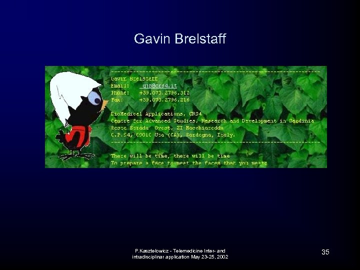 Gavin Brelstaff P. Kasztelowicz - Telemedicine Inter- and intradisciplinar application May 23 -25, 2002