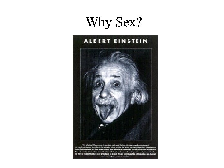 Why Sex? 