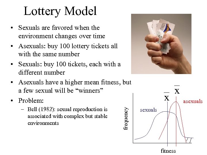 Lottery Model – Bell (1982): sexual reproduction is associated with complex but stable environments