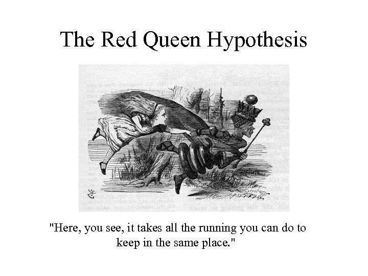 The Red Queen Hypothesis 