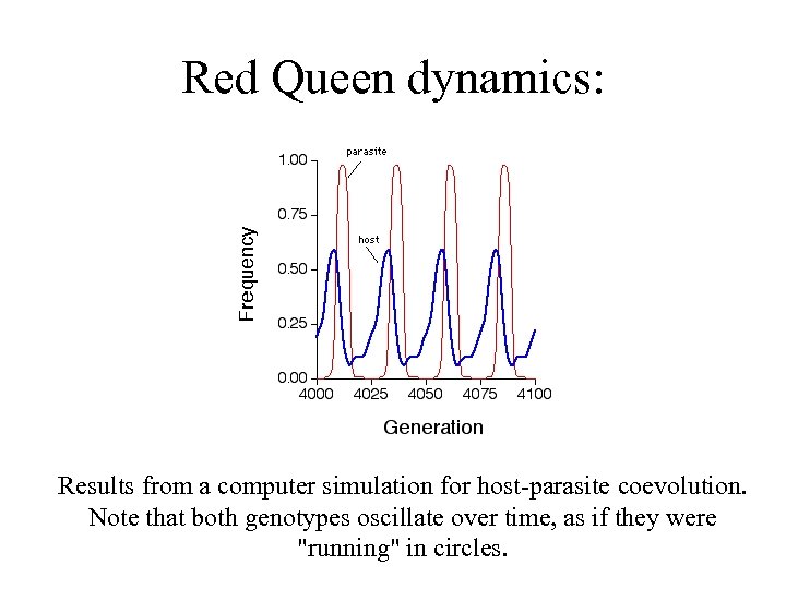 Red Queen dynamics: Results from a computer simulation for host-parasite coevolution. Note that both