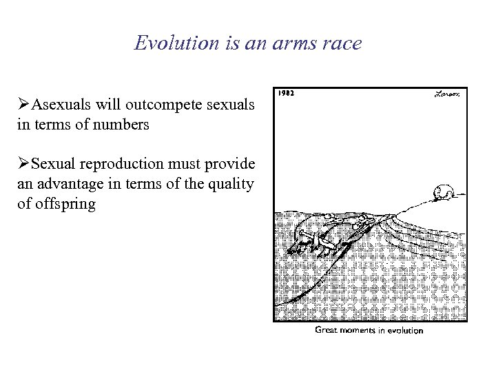 Evolution is an arms race ØAsexuals will outcompete sexuals in terms of numbers ØSexual
