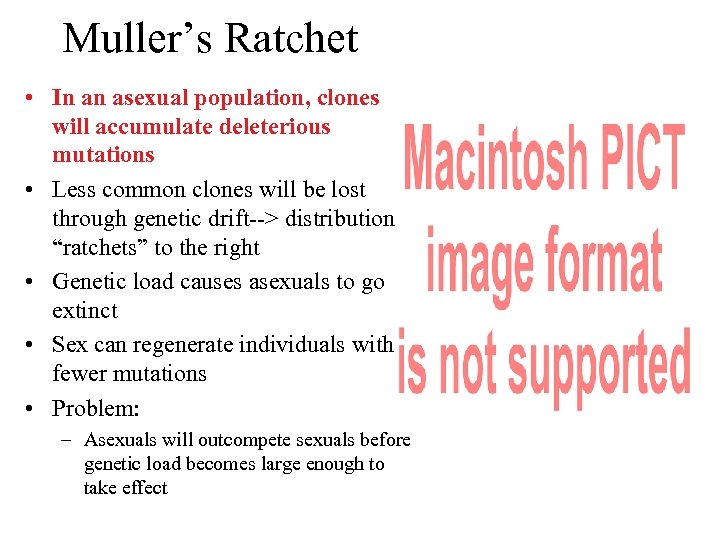 Muller’s Ratchet • In an asexual population, clones will accumulate deleterious mutations • Less