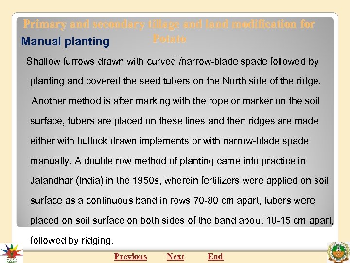 Primary and secondary tillage and land modification for Potato Manual planting Shallow furrows drawn
