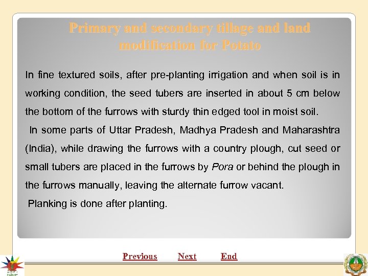 Primary and secondary tillage and land modification for Potato In fine textured soils, after