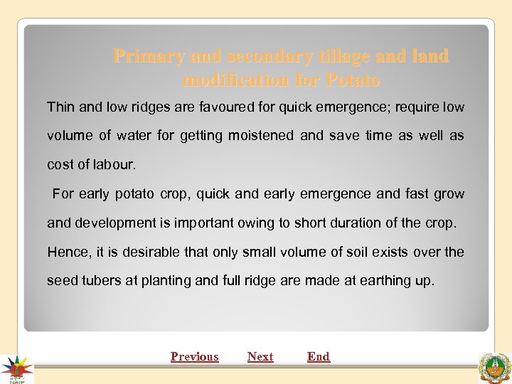 Primary and secondary tillage and land modification for Potato Thin and low ridges are