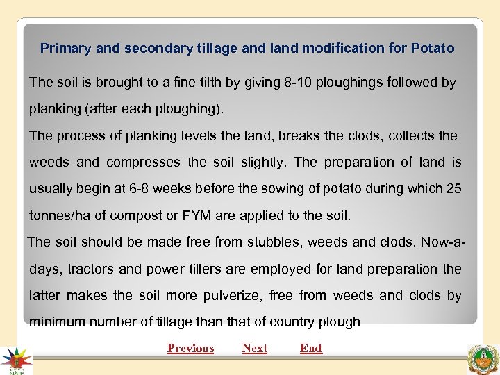 Primary and secondary tillage and land modification for Potato The soil is brought to
