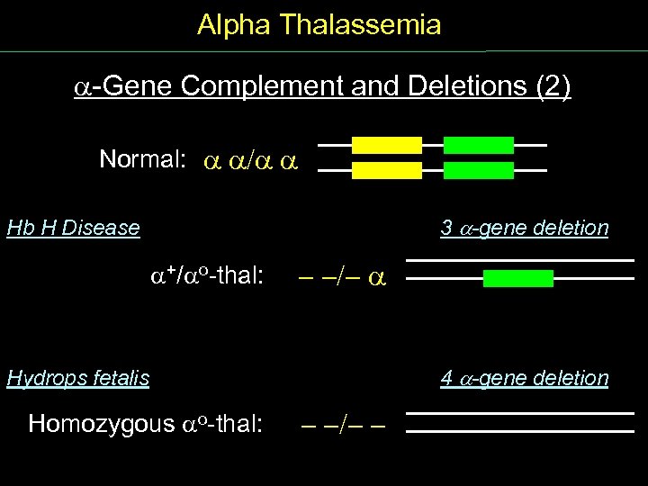 Alpha Thalassemia Gene Complement and Deletions (2) Normal: / 3 -gene deletion Hb H