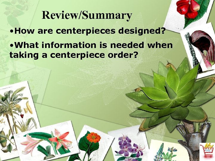 Review/Summary • How are centerpieces designed? • What information is needed when taking a