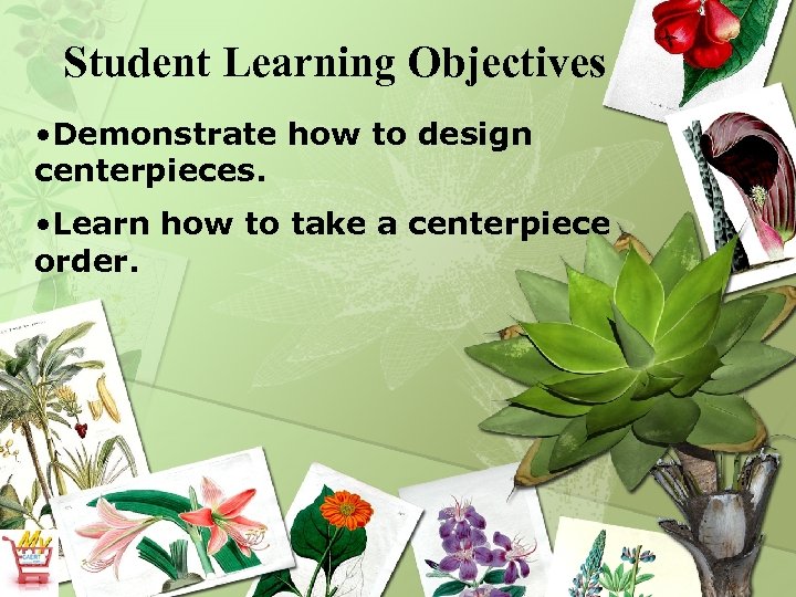 Student Learning Objectives • Demonstrate how to design centerpieces. • Learn how to take
