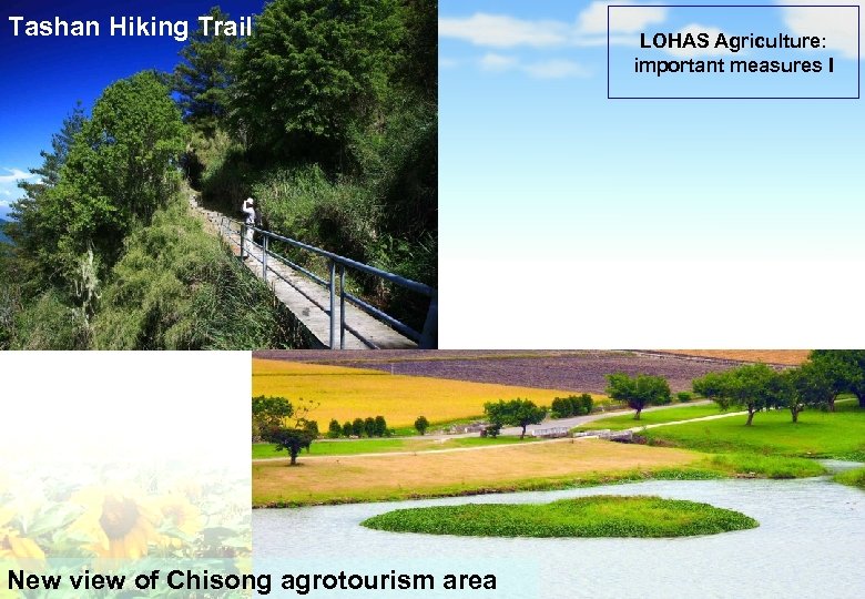 主軸 3 Tashan Hiking Trail New view of Chisong agrotourism area LOHAS Agriculture: important