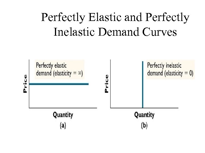 Perfectly Elastic and Perfectly Inelastic Demand Curves 