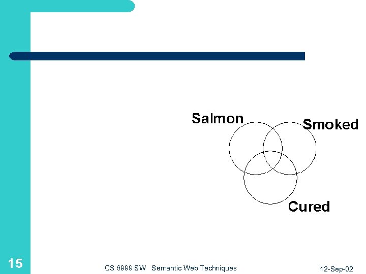 15 CS 6999 SW Semantic Web Techniques 12 -Sep-02 