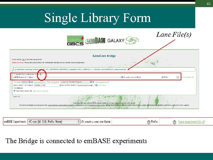 41 Single Library Form Lane File(s) The Bridge is connected to em. BASE experiments